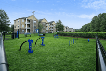 Bark park